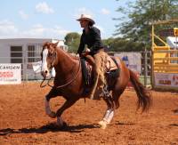 Horsezone